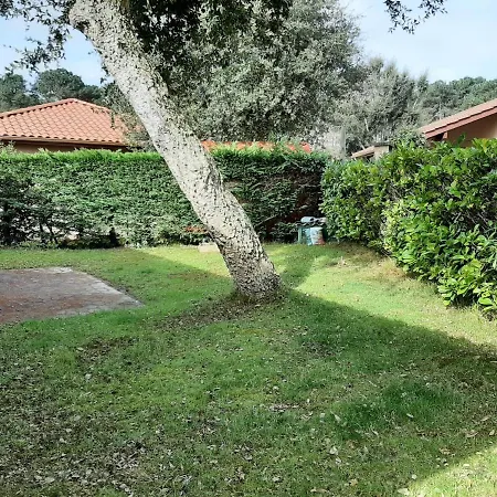 Maison Capbreton, 4 Pièces, 8 Personnes - Fr-1-239-743 *